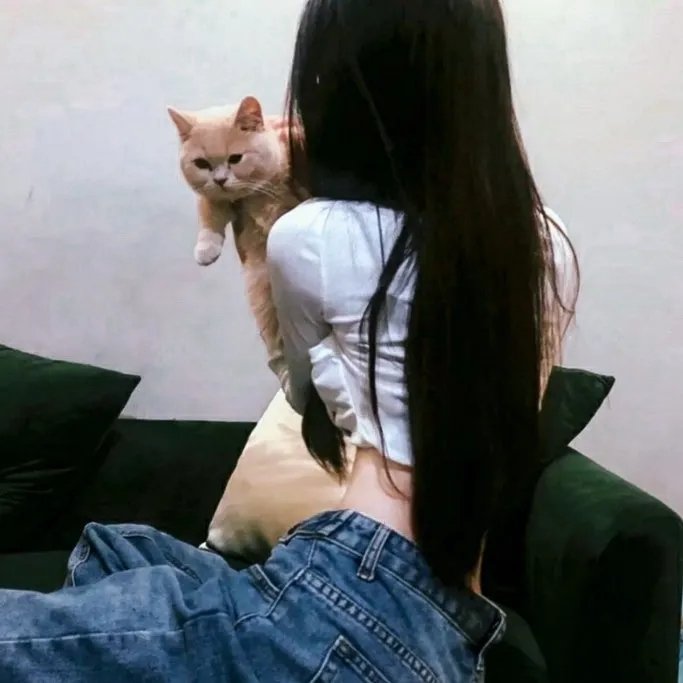 消失的皮箱